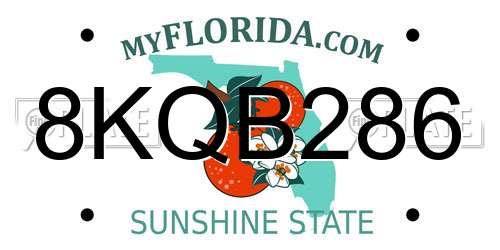 8KQB286 Florida License Plate
