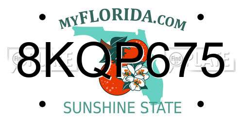 8KQP675 Florida License Plate