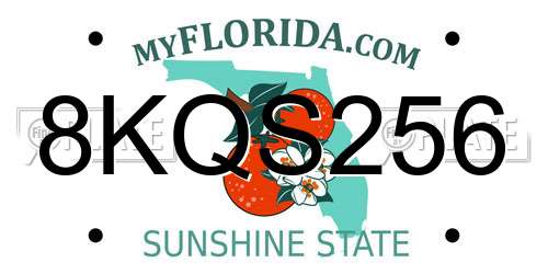 8KQS256 Florida License Plate