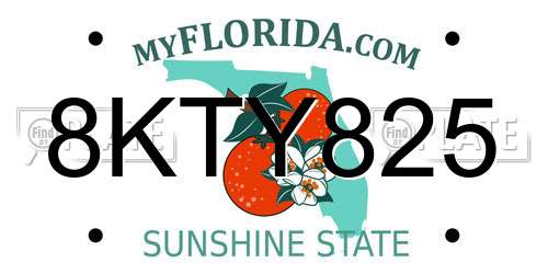 8KTY825 Florida License Plate