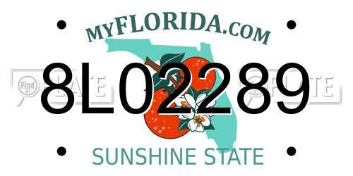 8L02289 Florida License Plate