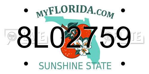 8L02759 Florida License Plate
