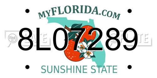 8L07289 Florida License Plate