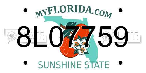 8L07759 Florida License Plate
