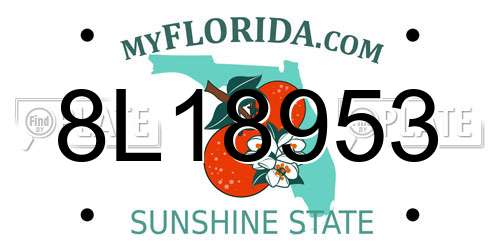 8L18953 Florida License Plate