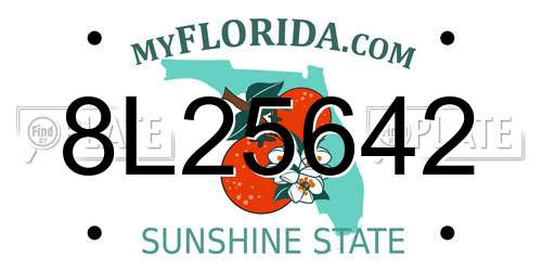 8L25642 Florida License Plate