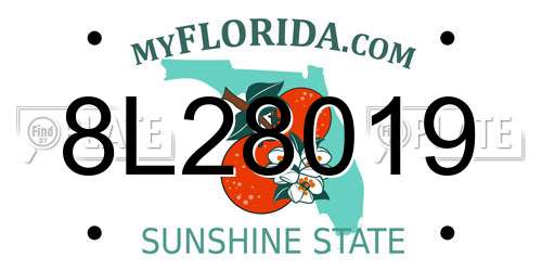 8L28019 Florida License Plate