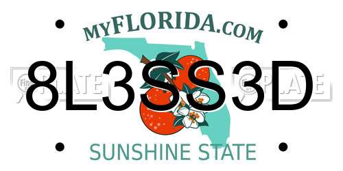 8L3SS3D Florida License Plate