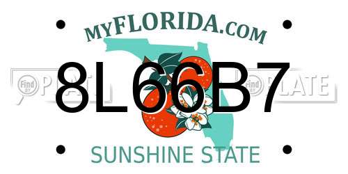 8L66B7 Florida License Plate
