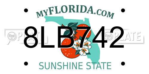 8LB742 Florida License Plate