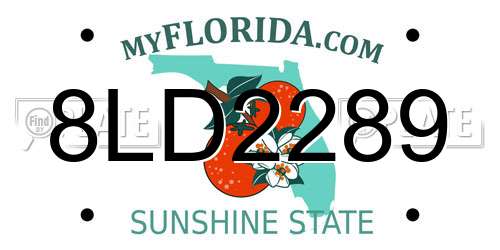 8LD2289 Florida License Plate
