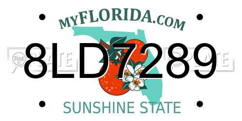 8LD7289 Florida License Plate