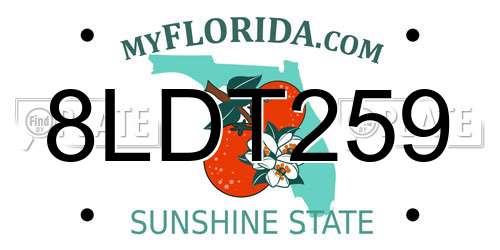 8LDT259 Florida License Plate