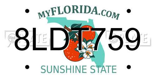 8LDT759 Florida License Plate