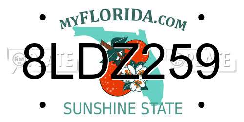 8LDZ259 Florida License Plate