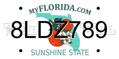 8LDZ789 Florida License Plate