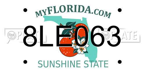 8LE063 Florida License Plate