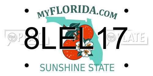 8LEL17 Florida License Plate