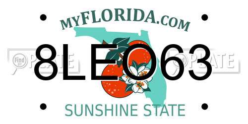 8LEO63 Florida License Plate