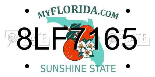 8LF7165 Florida License Plate