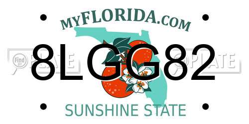8LGG82 Florida License Plate