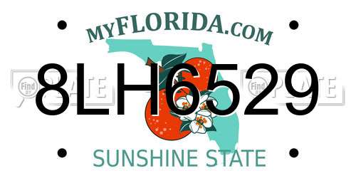 8LH6529 Florida License Plate