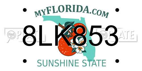 8LK853 Florida License Plate