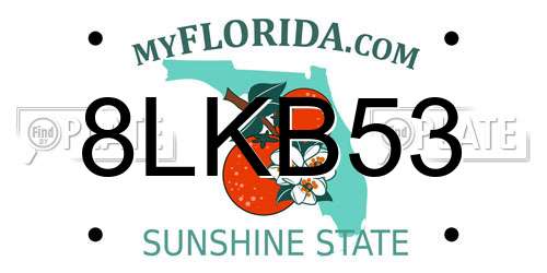 8LKB53 Florida License Plate