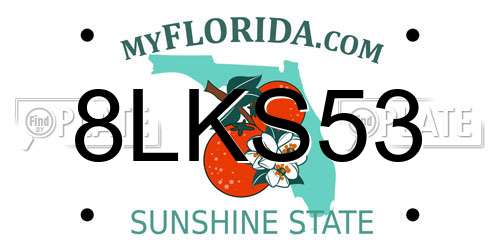 8LKS53 Florida License Plate