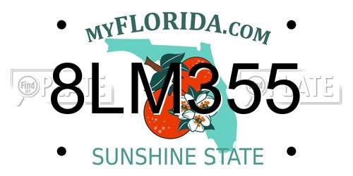8LM355 Florida License Plate