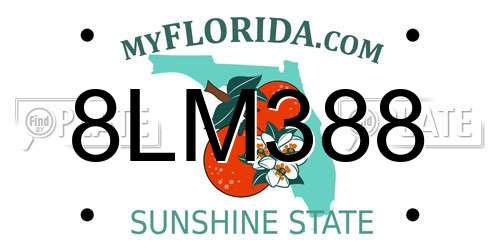 8LM388 Florida License Plate