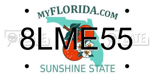 8LME55 Florida License Plate