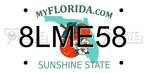 8LME58 Florida License Plate