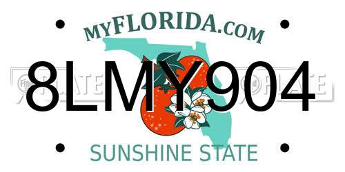 8LMY904 Florida License Plate