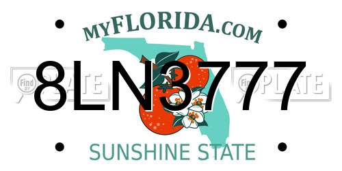 8LN3777 Florida License Plate
