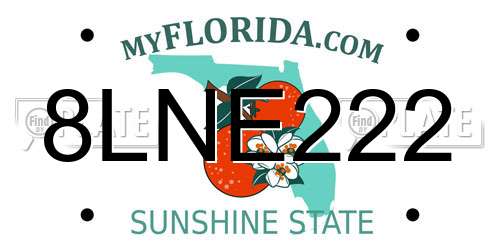 8LNE222 Florida License Plate