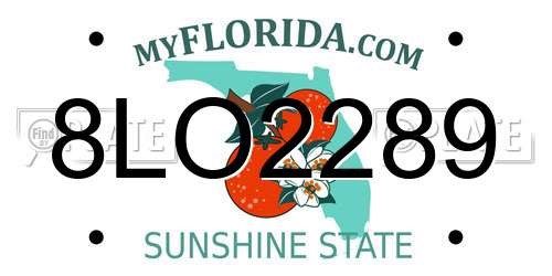 8LO2289 Florida License Plate