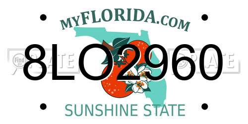 8LO2960 Florida License Plate