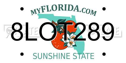 8LOT289 Florida License Plate