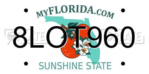 8LOT960 Florida License Plate