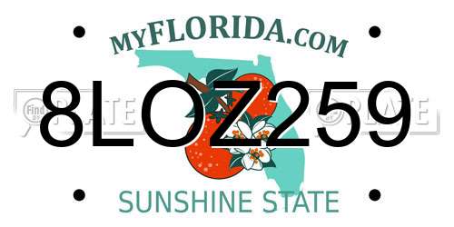 8LOZ259 Florida License Plate
