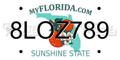 8LOZ789 Florida License Plate