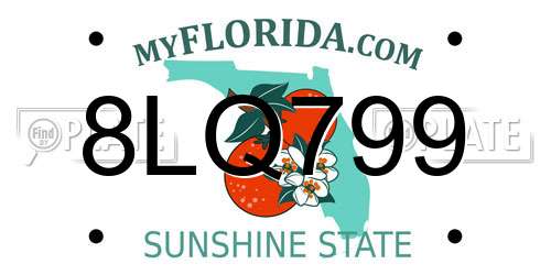 8LQ799 Florida License Plate