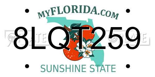 8LQT259 Florida License Plate