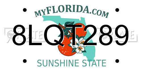8LQT289 Florida License Plate