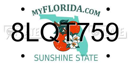 8LQT759 Florida License Plate