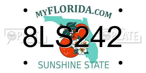 8LS242 Florida License Plate