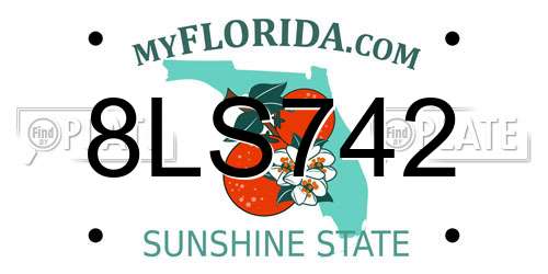 8LS742 Florida License Plate