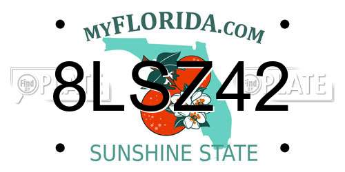 8LSZ42 Florida License Plate