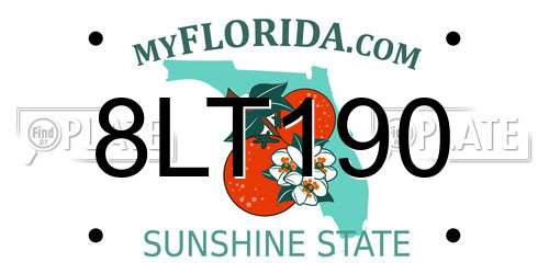 8LT190 Florida License Plate
